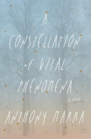 A Constellation of Vital Phenomena