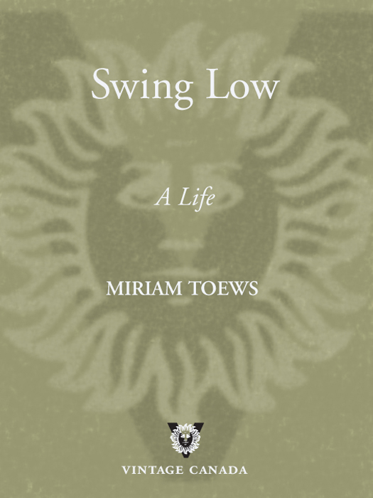 Swing Low