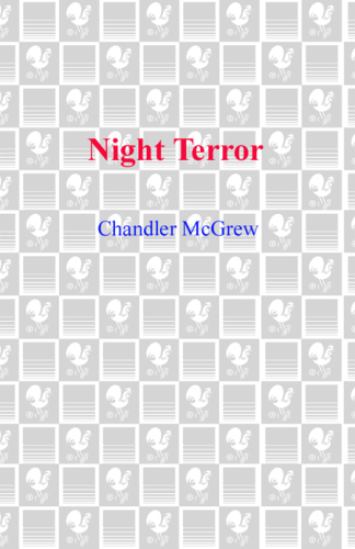 Night Terror Night Terror