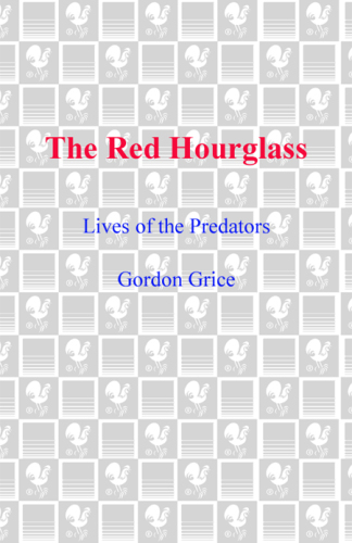 The Red Hourglass