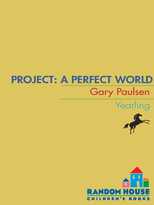 Project: A Perfect World