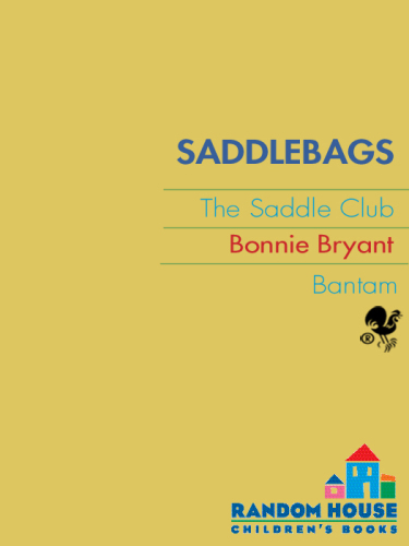 Saddlebags