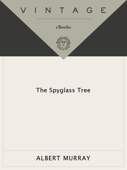 The Spyglass Tree