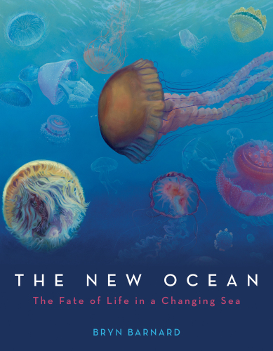 The New Ocean