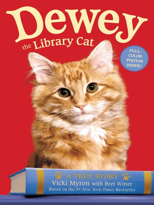 Dewey the Library Cat