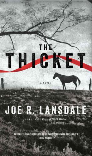 The Thicket