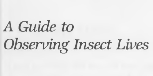 A Guide to Observing Insect Lives (Stokes Nature Guides)