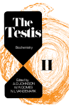 The Testis II