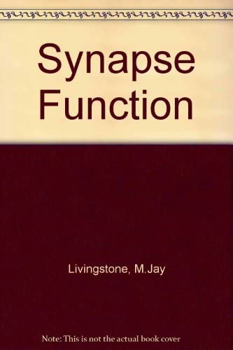 Synapse Function