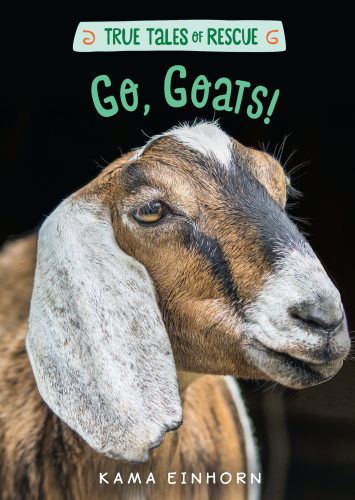 Go, Goats!