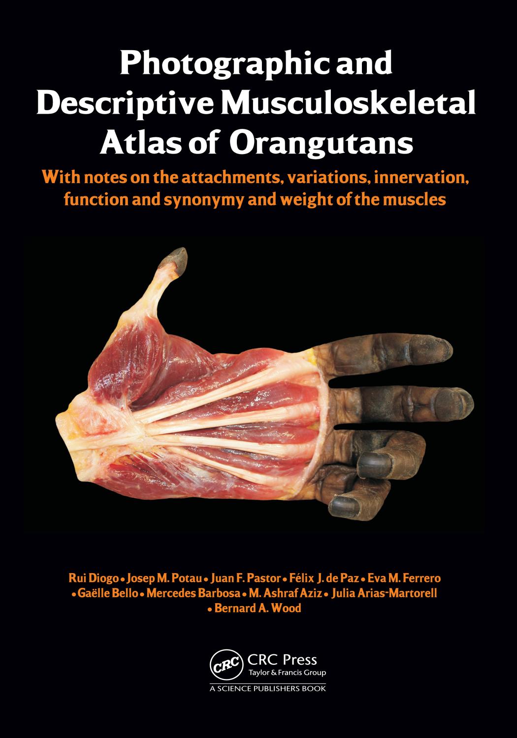 Photographic and Descriptive Musculoskeletal Atlas of Orangutans