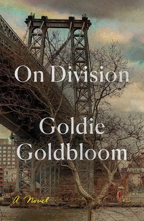 On Division: A Novel