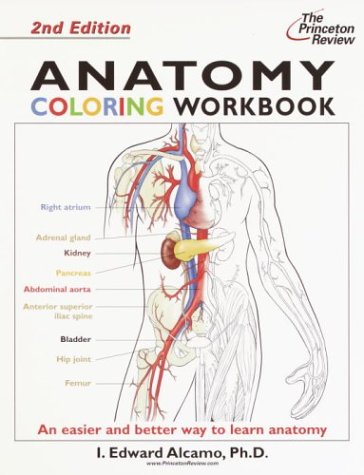 Anatomy Coloring Workbook (Coloring Workbooks)