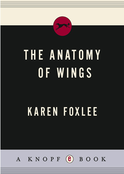 The Anatomy of Wings