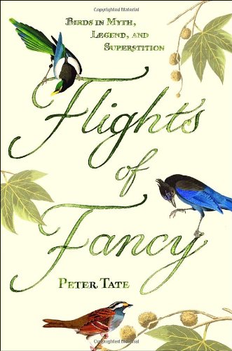 Flights of Fancy