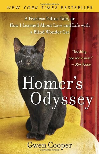 Homer's Odyssey