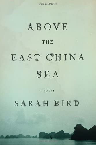 Above the East China Sea : a novel