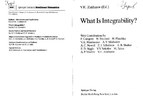 What Is Integrability?