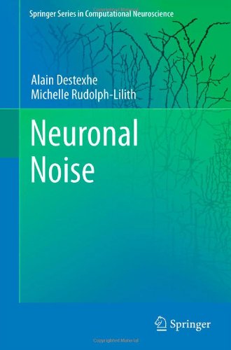 Neuronal Noise