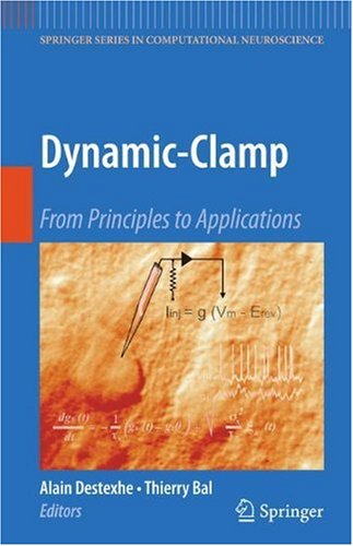 Dynamic-Clamp