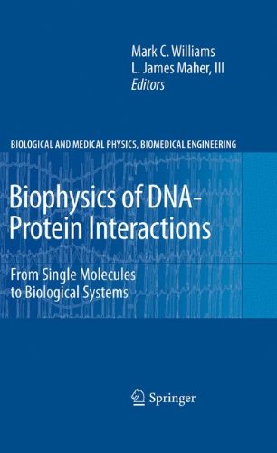 Biophysics of Dnaprotein Interactions