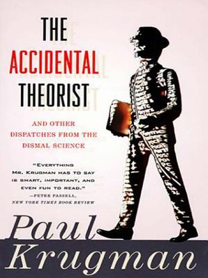 The Accidental Theorist