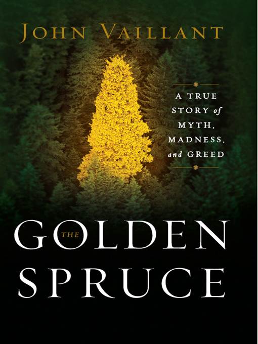 The Golden Spruce