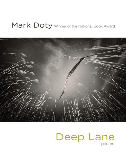 Deep Lane