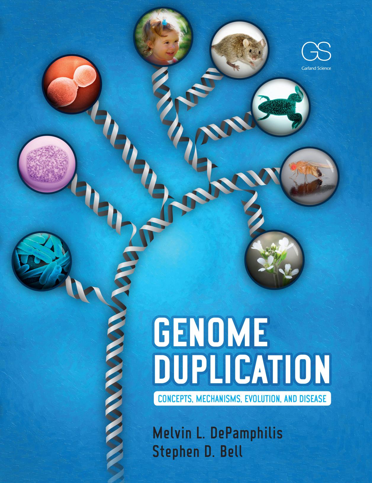 Genome Duplication