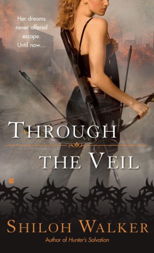 Through the Veil (A Veil Novel)