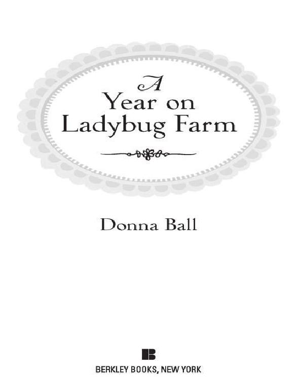 A Year on Ladybug Farm