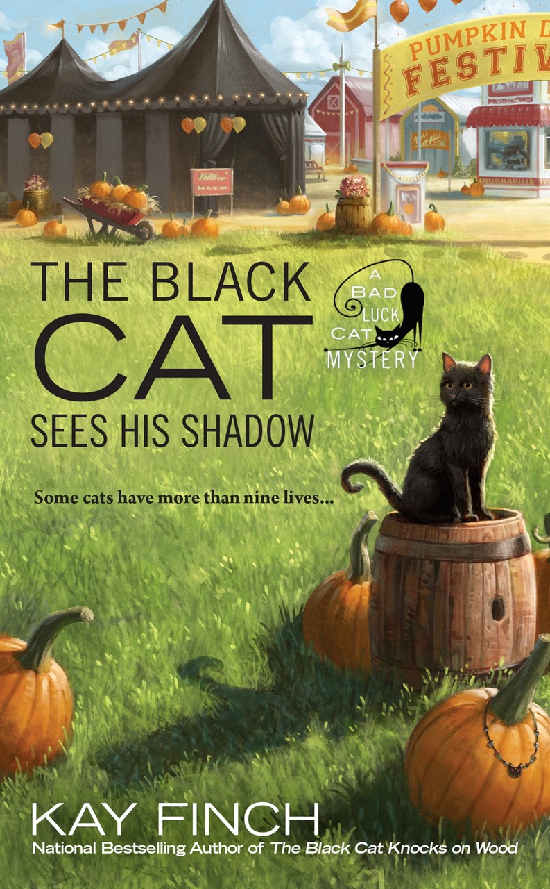 The Black Cat Sees His Shadow (A Bad Luck Cat Mystery)