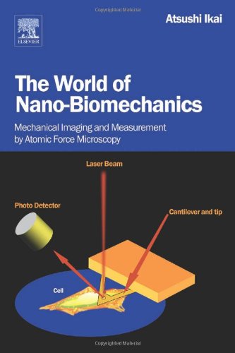 The World of Nano-Biomechanics