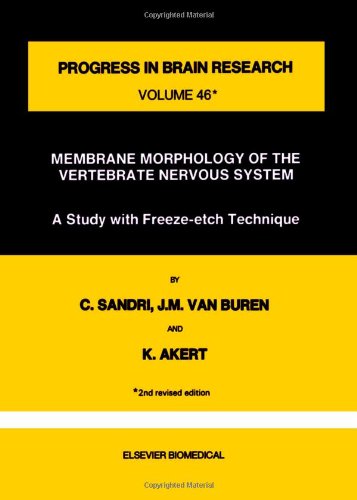 Membrane Morphology of the Vertebrate Nervous System