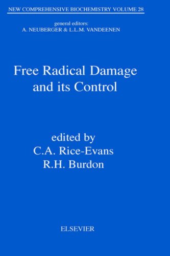 Free Radical Damage and Its Control, 28