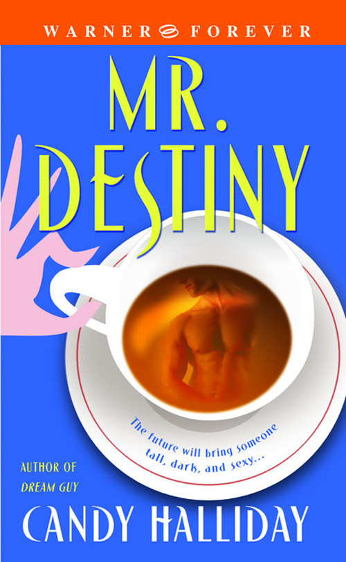 Mr. Destiny