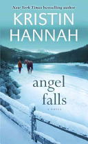 Angel Falls: A Novel