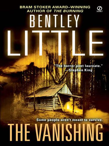 The Vanishing: A Thriller