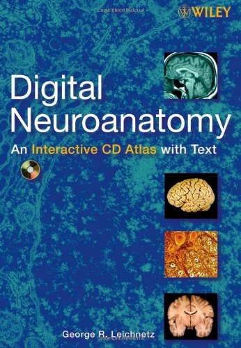 Digital Neuroanatomy