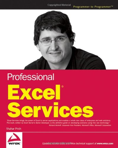 Professional Excel Services