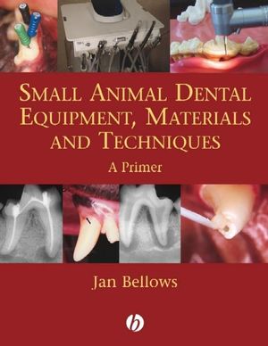 Small animal dental equipment, materials, and techniques