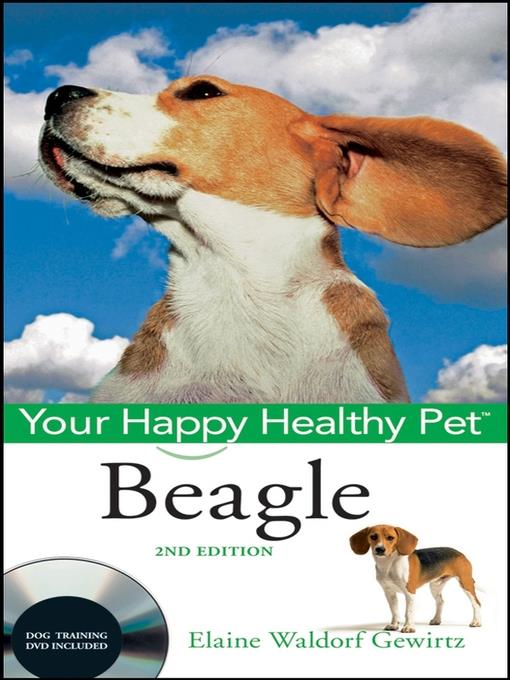 Beagle