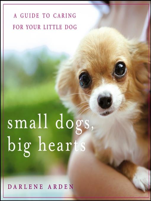 Small Dogs, Big Hearts