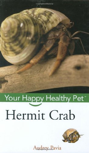 Hermit Crab