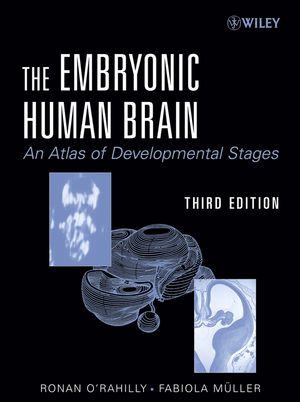 <div class=vernacular lang="en">The embryonic human brain an atlas of developmental stages /</div>