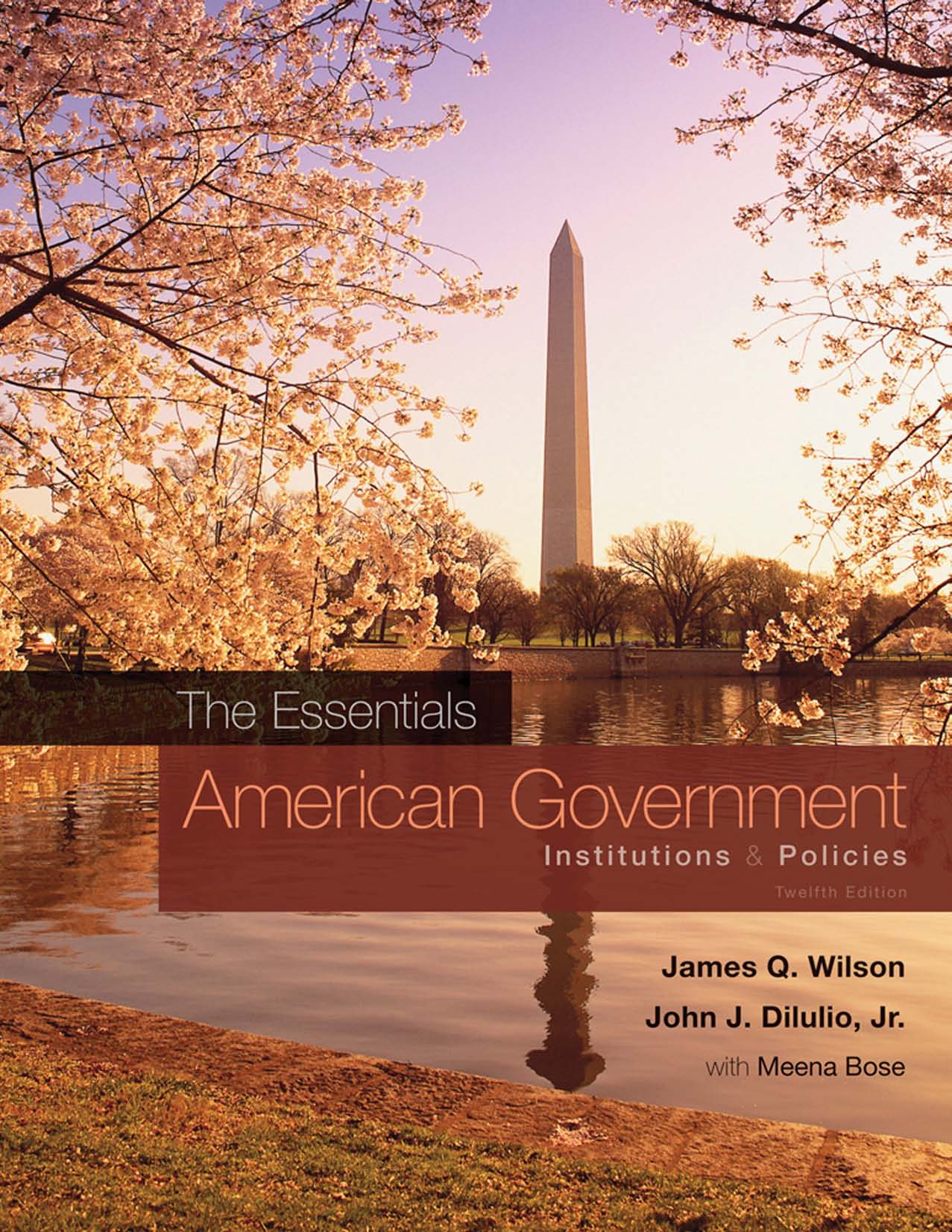 American Government, the Essentials