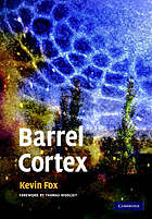 Barrel Cortex