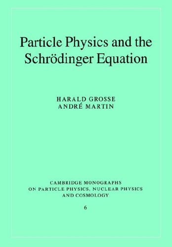 Particle Physics and the Schr�dinger Equation