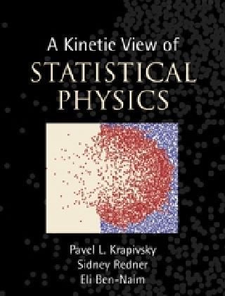 A Kinetic View of Statistical Physics.