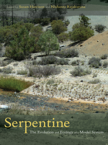 Serpentine